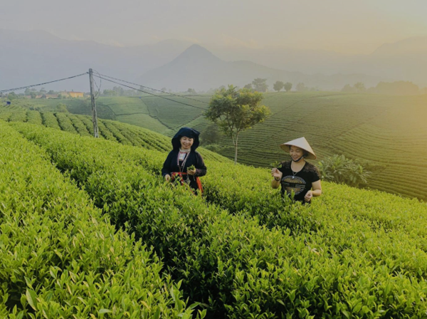 Hoàng Nông (Thái Nguyên): Nông thôn mới kiến tạo những giá trị mới